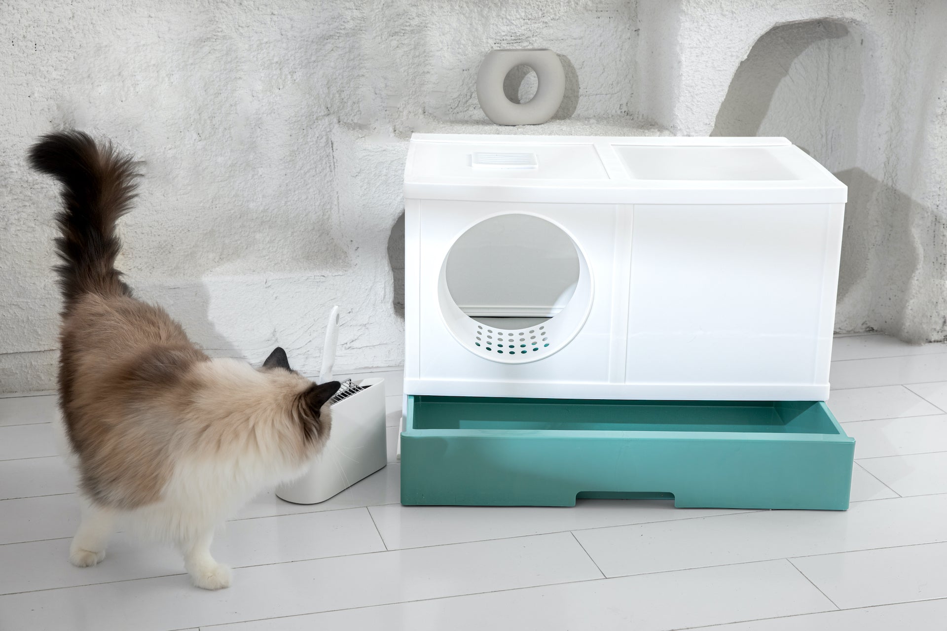 Katzenklo reinigen – so geht's