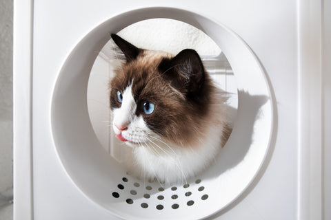 TIGO-X 2.0 Katzenklo XXL
