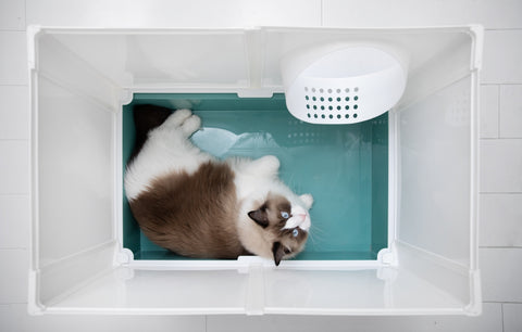 TIGO-X 2.0 Katzenklo XXL
